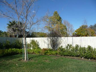 Enlarge photo 39