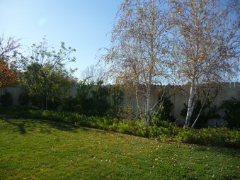 Enlarge photo 40