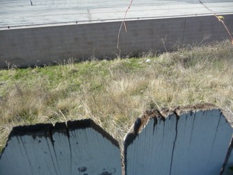Enlarge photo 42