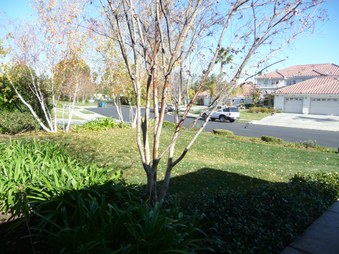 Enlarge photo 48