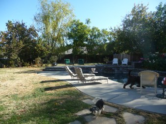 Enlarge photo 36