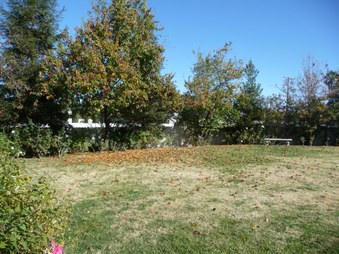 Enlarge photo 37