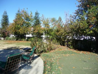 Enlarge photo 39