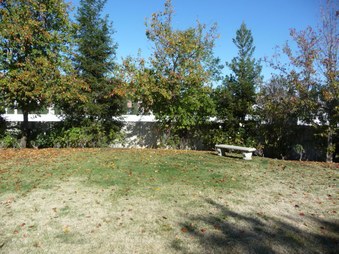Enlarge photo 40