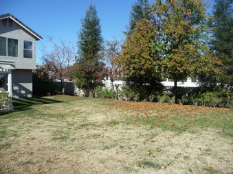 Enlarge photo 41