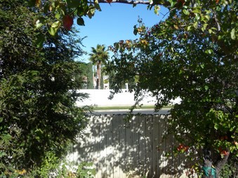 Enlarge photo 42