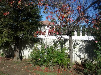 Enlarge photo 46