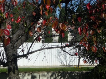 Enlarge photo 47