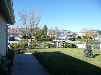 Enlarge photo 54