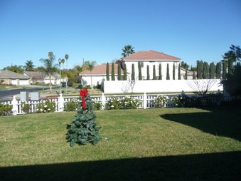 Enlarge photo 57