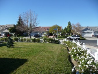 Enlarge photo 60