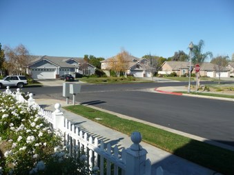 Enlarge photo 61