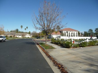Enlarge photo 63