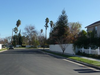 Enlarge photo 66