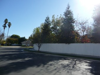 Enlarge photo 70