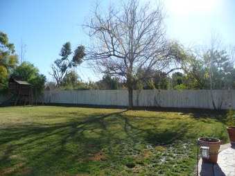 Enlarge photo 25