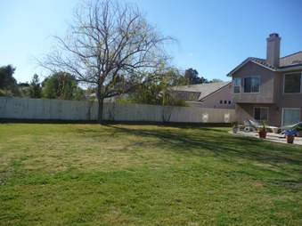 Enlarge photo 27