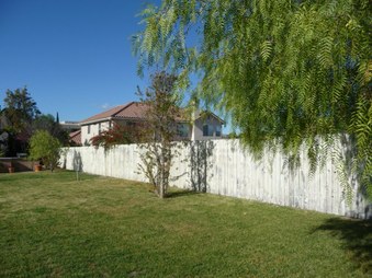Enlarge photo 31