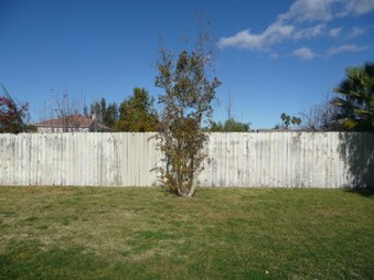 Enlarge photo 32