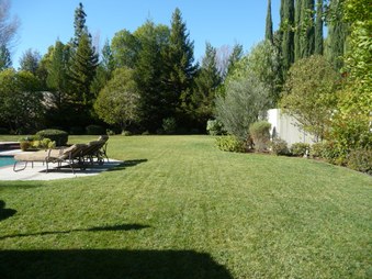 Enlarge photo 29