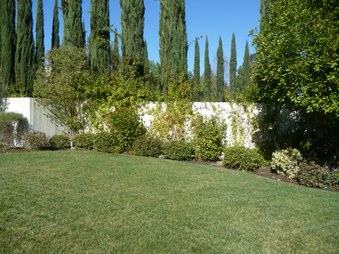 Enlarge photo 30