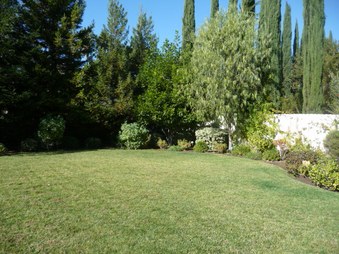 Enlarge photo 32