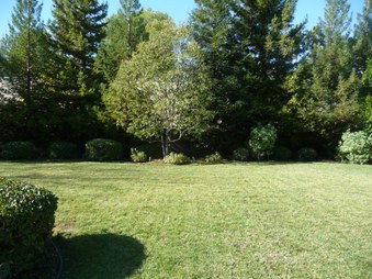 Enlarge photo 33