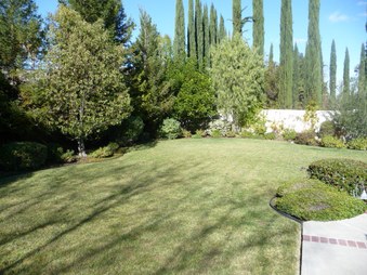 Enlarge photo 35