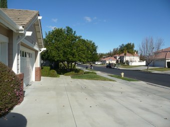 Enlarge photo 39