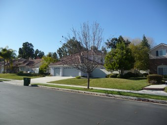 Enlarge photo 44