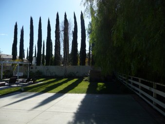 Enlarge photo 35
