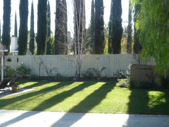 Enlarge photo 36