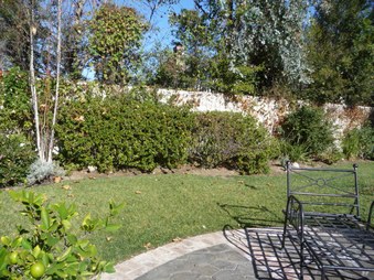 Enlarge photo 37
