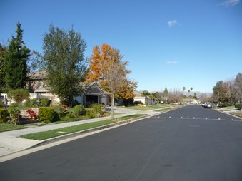Enlarge photo 49