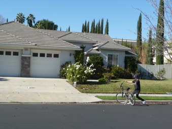 Enlarge photo 53