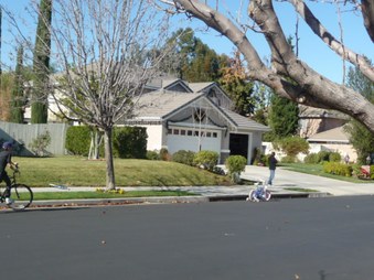 Enlarge photo 54