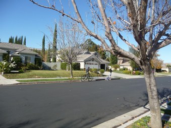 Enlarge photo 55