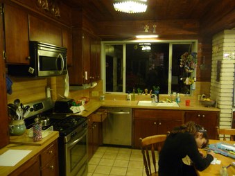 Shnider House