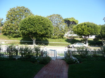 Enlarge photo 42