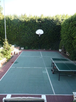 Enlarge photo 81
