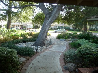 Enlarge photo 46