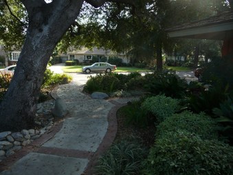 Enlarge photo 48