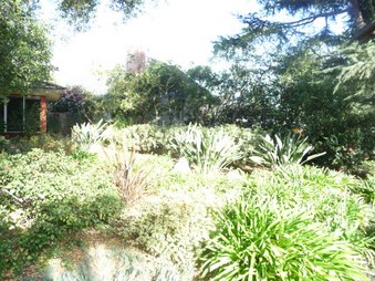 Enlarge photo 51