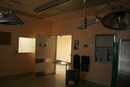 Enlarge photo 61