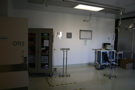 Enlarge photo 67