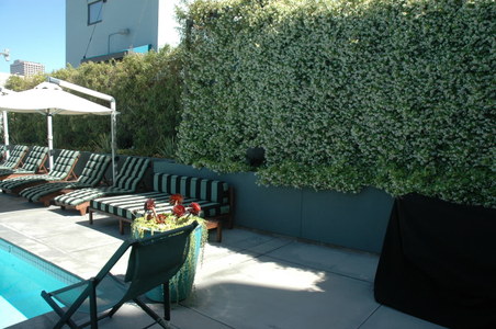 Enlarge photo 39