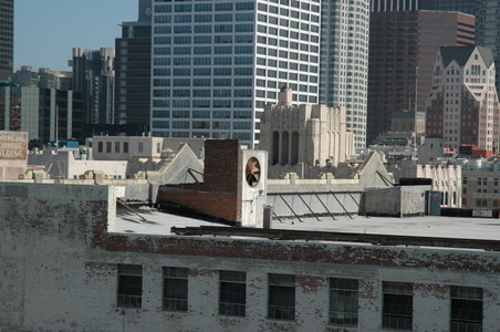 Enlarge photo 48