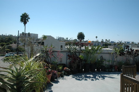 Enlarge photo 13