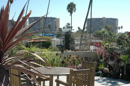 Enlarge photo 19