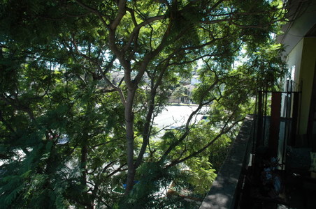 Enlarge photo 53